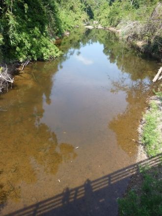 В дождливый период значительные простран