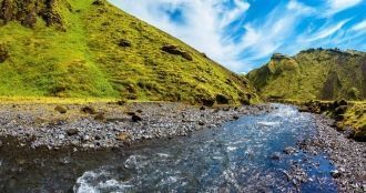 Климат субэкваториальный, муссонный, оса