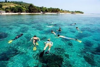 Природа побережья моря Сулавеси это кора