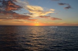 В этом море очень чистая вода, прозрачно