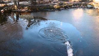 Средняя температура воды на поверхности 