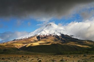 Некоторые даже находят ассоциации с горо