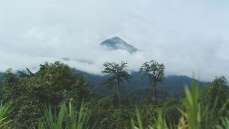 Вулкан Камерун по праву считается главно