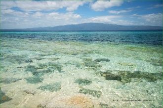 Порыбачить сюда съезжаются со всех концо