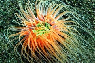 В связи с погодными и морскими условиями