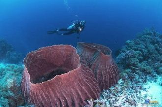 Кстати морской парк от рыболовов защищае