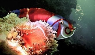 В основном Tubbataha Reef National Marin