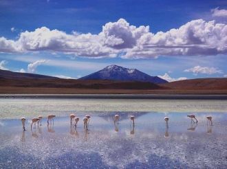 В период дождей на солончак Уюни прилета