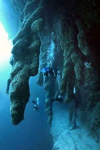 Это место был разведано Жак-Ивом Кусто и