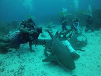 В этих местах иногда появляются и другие