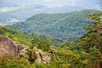 Кроме описанной основной выше группы ска