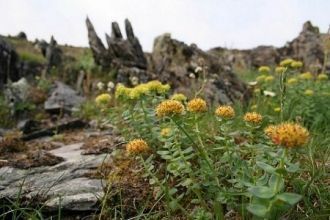 На участках заповедника всесторонне пред