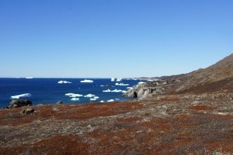Положение Гренландского моря в высоких ш