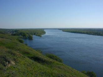 В болотистой местности возле Дона можно 