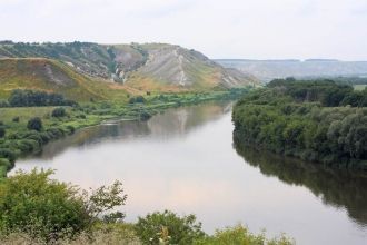 В общей численности в Доне водиться прим