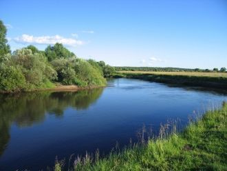 Десна – река, в которую впадает всего 31