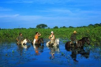 На территории Пантанала построено нескол