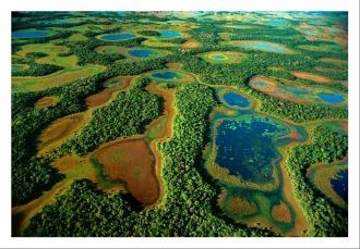 С 2000 года заповедная зона Пантанал был