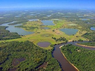 Река Парагвай питает болота, озера и зал