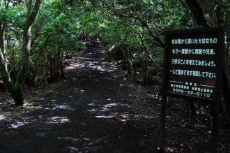 На подступах к лесу расставлены таблички