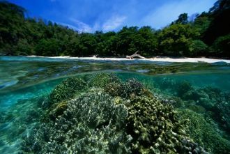 Коралловые рифы в море Сулавеси, располо