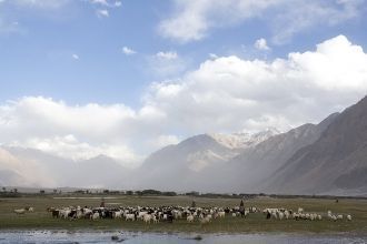 Если углубляться в долину реки Шайок, пр