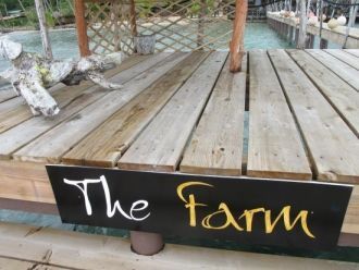 Ферма жемчуга. Таитянский черный жемчуг 