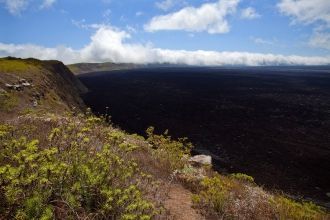 Вся поверхность кратера — черная безжизн