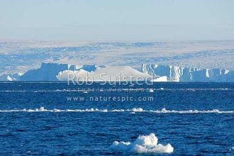 Берег охраняют недружелюбные острые каме