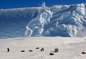 Открытие моря Рисер Ларсена присвоено уч