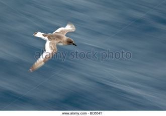 Название нового моря было взято от иссле