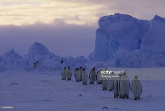 По результатам проведенной в Антарктике 