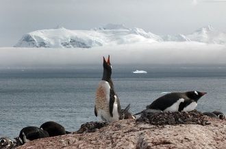 Скалистый гребень Гуннерус, простирающий