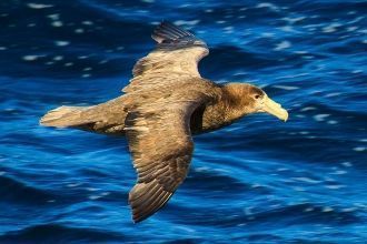 Температура воздуха над морем сравнитель