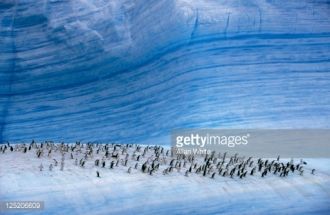 Зато летом льды отступают на юг и вода в