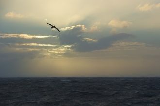 А в зимние месяцы температура не падает 