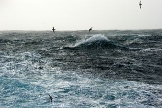 Зато благоприятны условия для поверхност