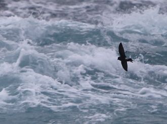 Отсюда очень необычная гидрология меж ос