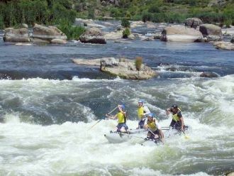 Профессиональные ежегодные спортивные сп