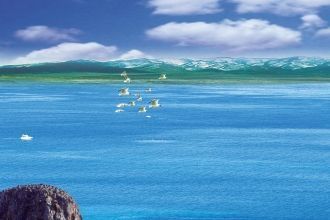 Летнее половодье на реках обусловливает 