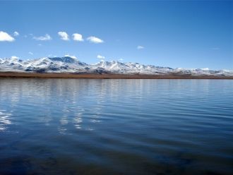 Водится рыба, главным образом из семейст