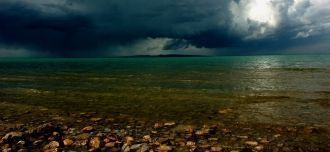 Местные жители часто набирают «живую» во