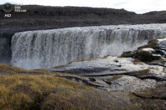 Единственным исключением мрачности здешн