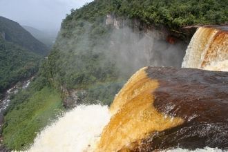 У Брауна, к сожалению, также не было вре