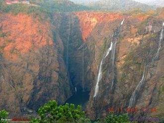 Возле водопадов Джог обитает множество д