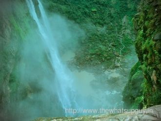 Это настоящее чудо природы, способное вы