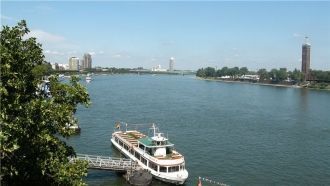 Водный поток вместе со своими притоками 