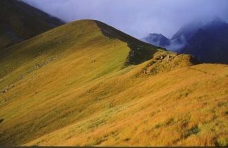 Большую часть времени территория парка п