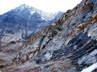 Приблизительно 312 цветочных разновиднос