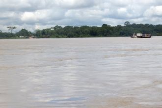 Сведения о Мадейре в 1853 г. существенно